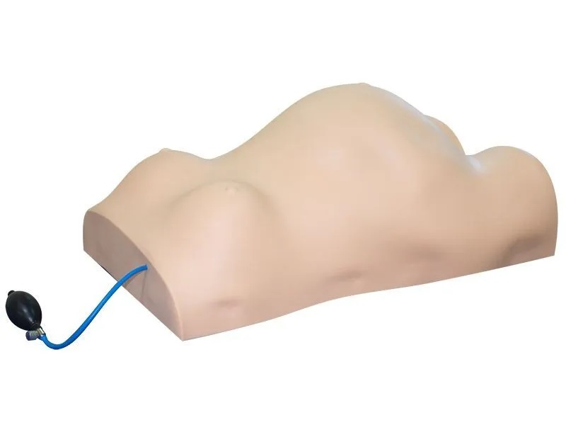 Simulator for practicing skills for examining a pregnant woman Zarnitza