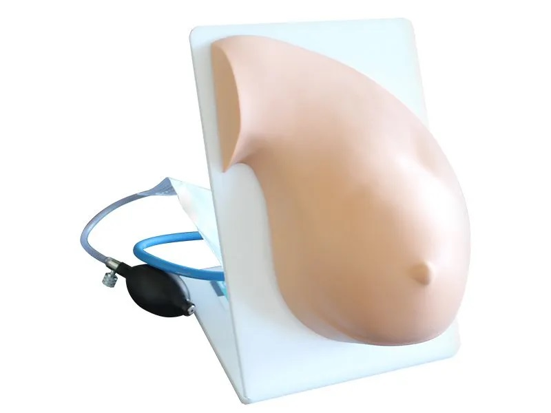 Simulator for practicing manual milk expression skills Zarnitza