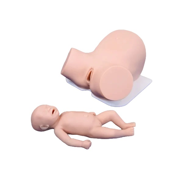 Obstetric simulator for practicing obstetric techniques ArtesMed