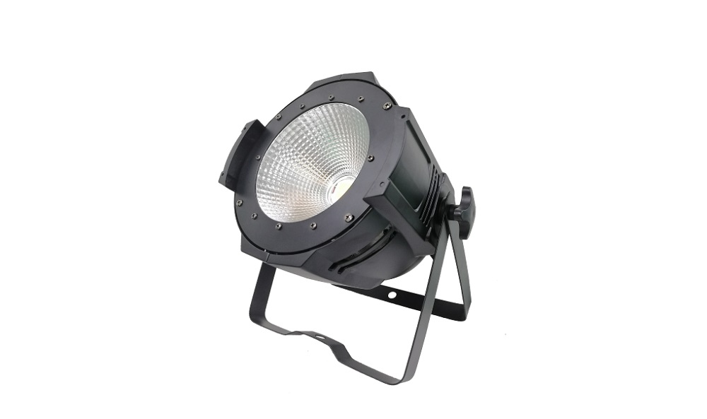 Floodlight Bristage PAR100