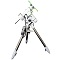 Telescope mounts