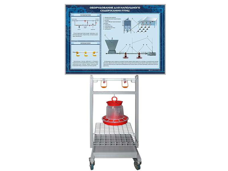 Stand-simulator Zarnitza "Floor keeping of birds"