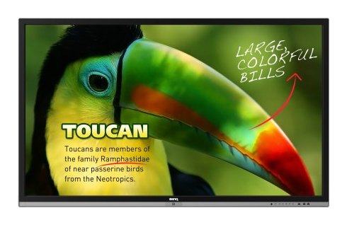Интерактивная панель BENQ RP653