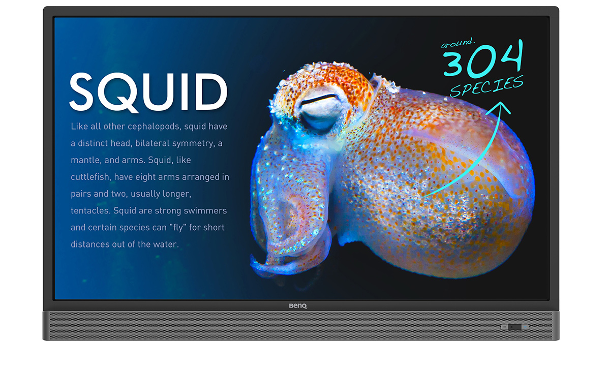 Интерактивная панель BENQ RP553K