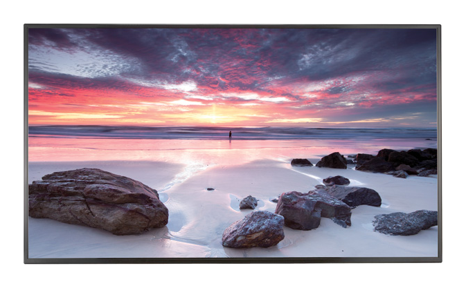 Интерактивная панель Samsung PM55F-BC