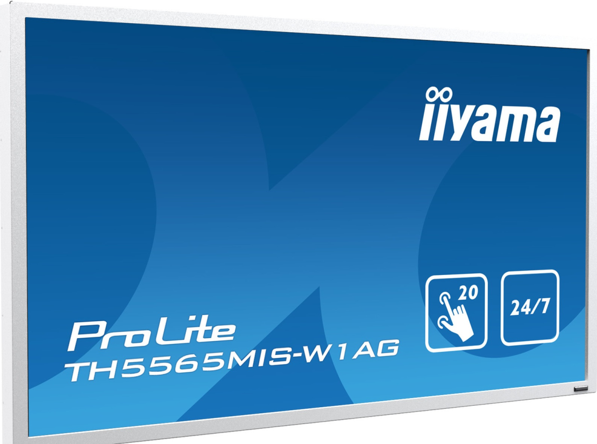 Interactive panel Iiyama TH5565MIS-W1AG