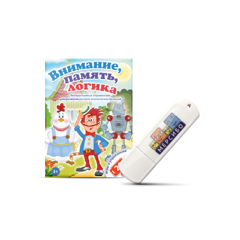 Educational games Mersibo: Attention, memory, logic