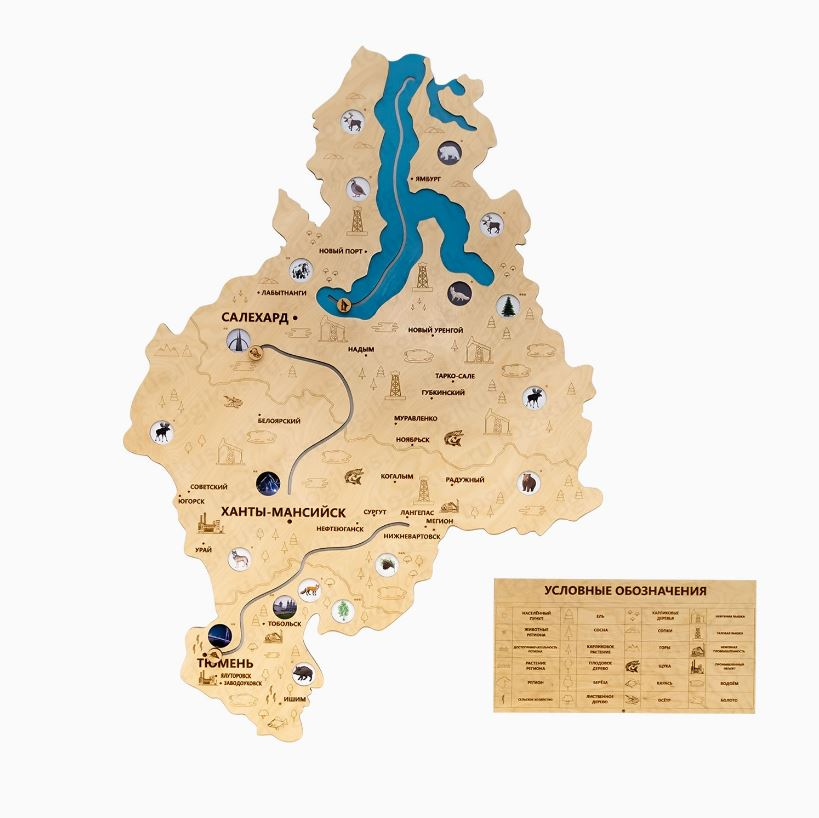 Map of the Tyumen region Logicus, backlit