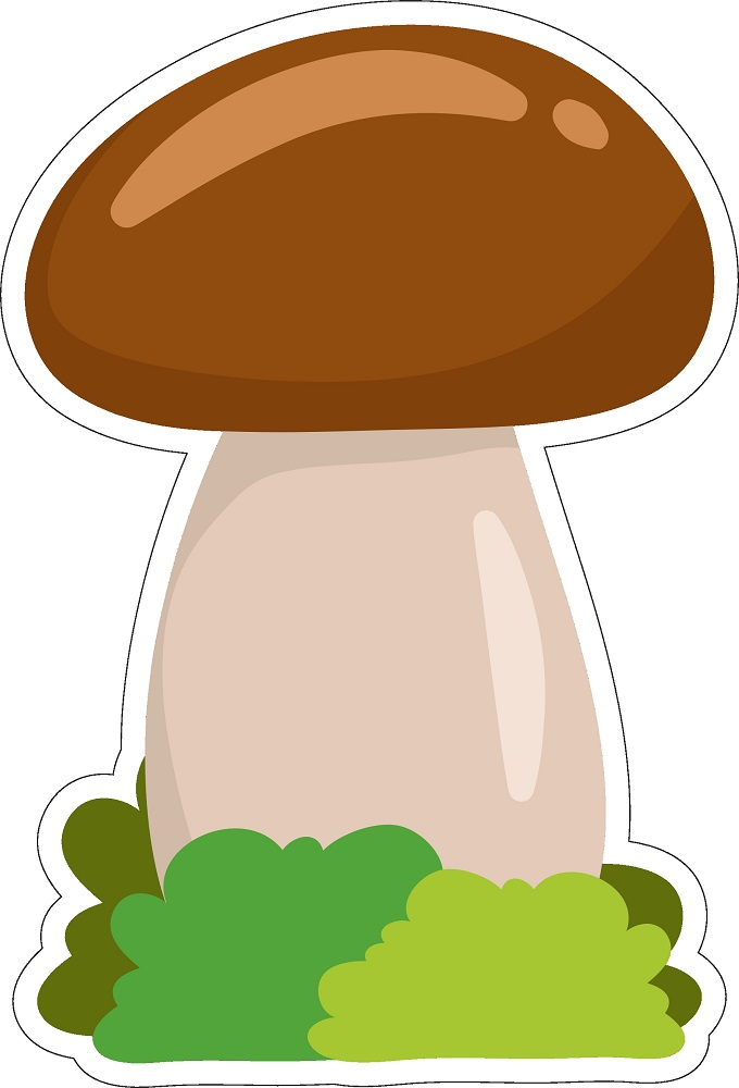 Logicus wall panel "Boletus fungus"
