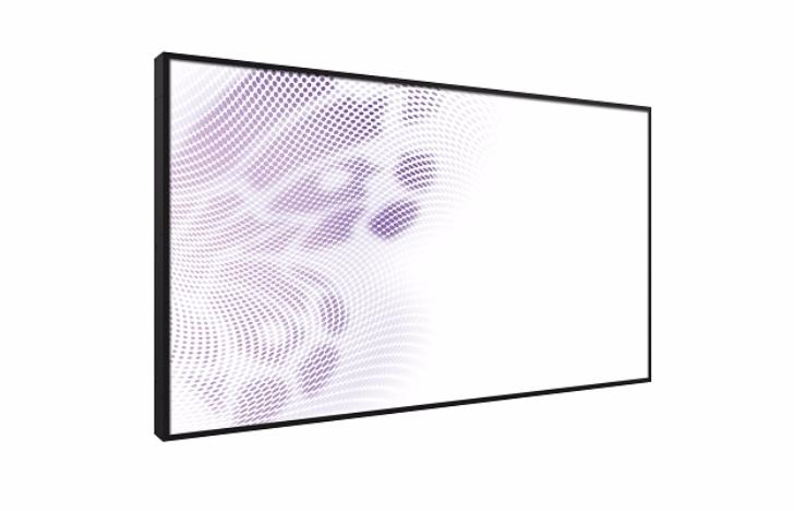 Professional panel BENQ SV500