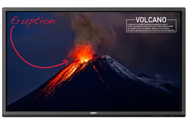 Professional panel BENQ RP840G