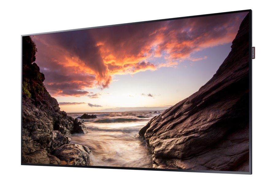 Professional panel Samsung PH55F