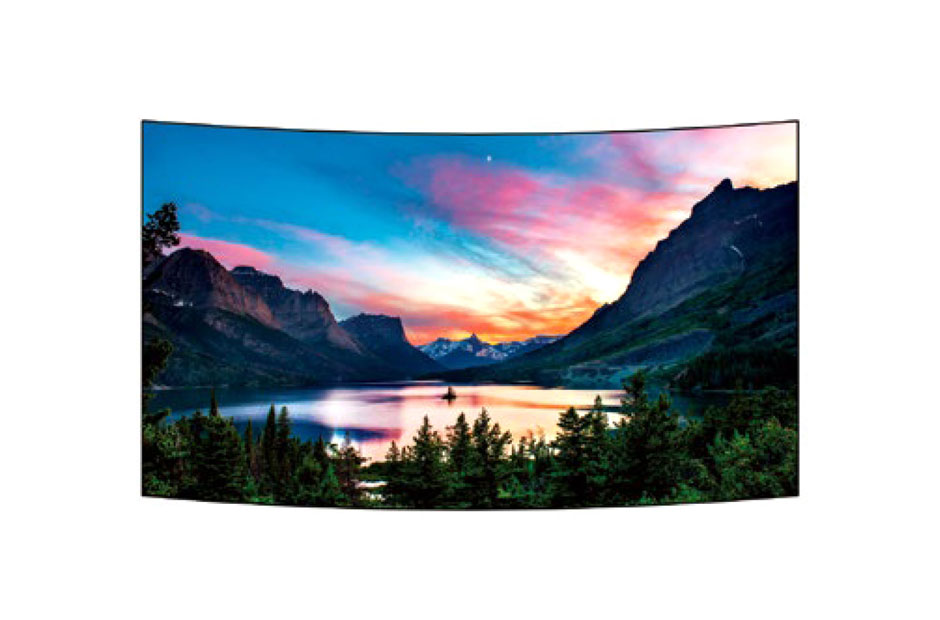 Professional panel LG 55EF5C