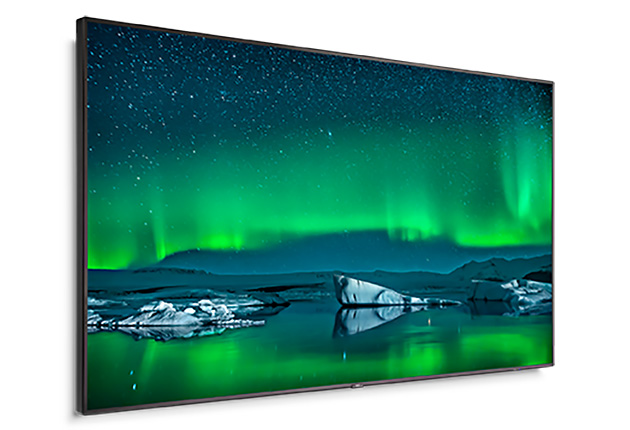 Professional panel NEC C861Q
