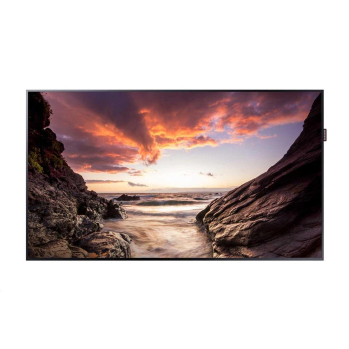 Professional paneli Samsung PM55F