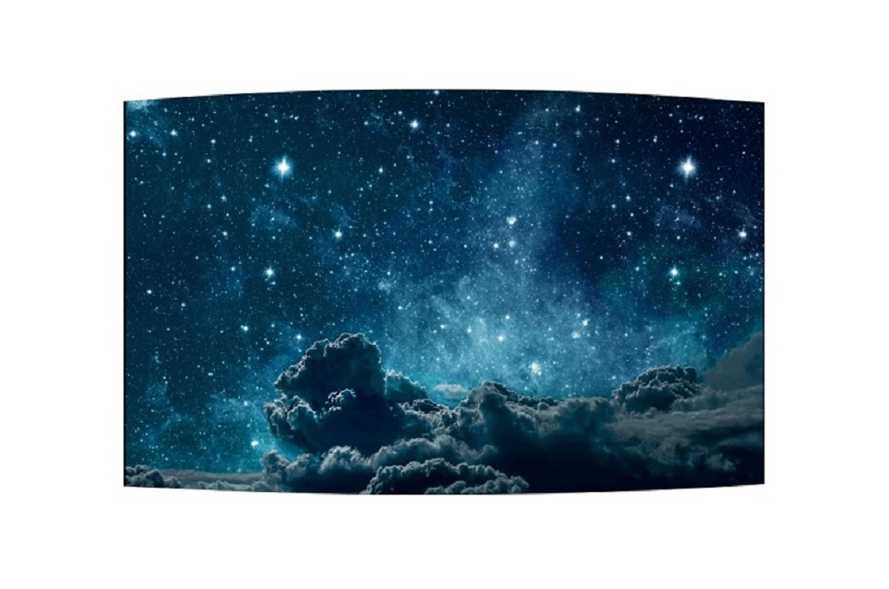LG 55EF5F professional paneli