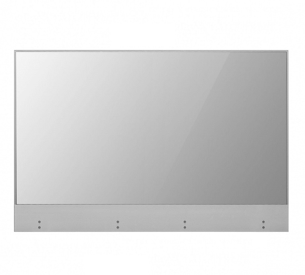 Professional panel LG 55EW5TF