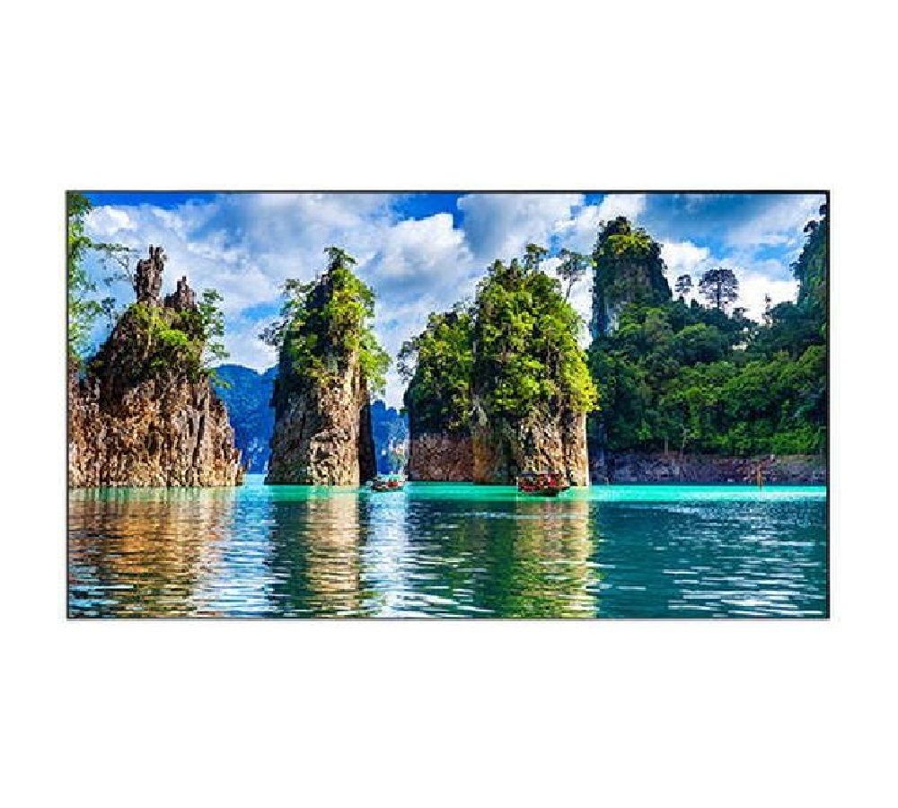 Professional panel Vestel WW55B-2H