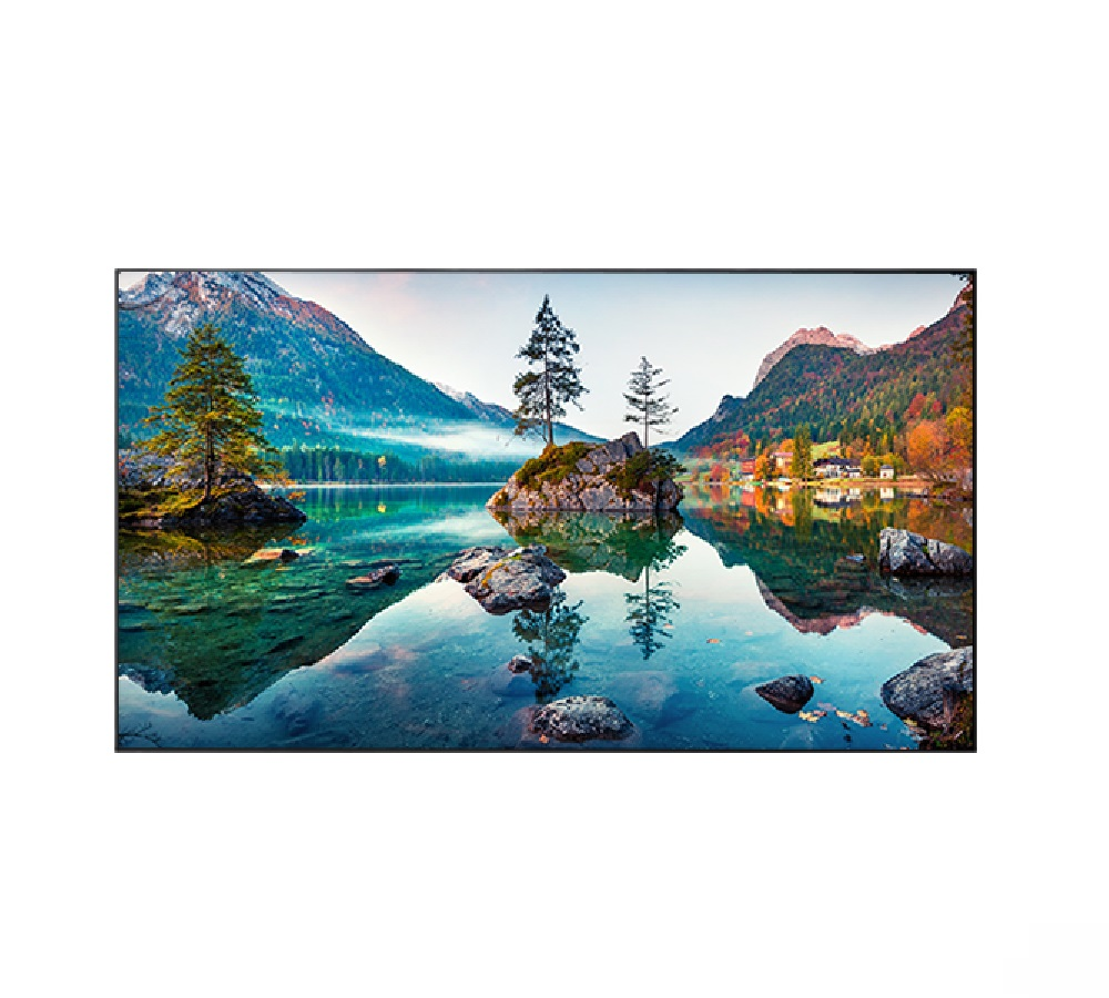 Professional panel Vestel WU49B-2H 49"