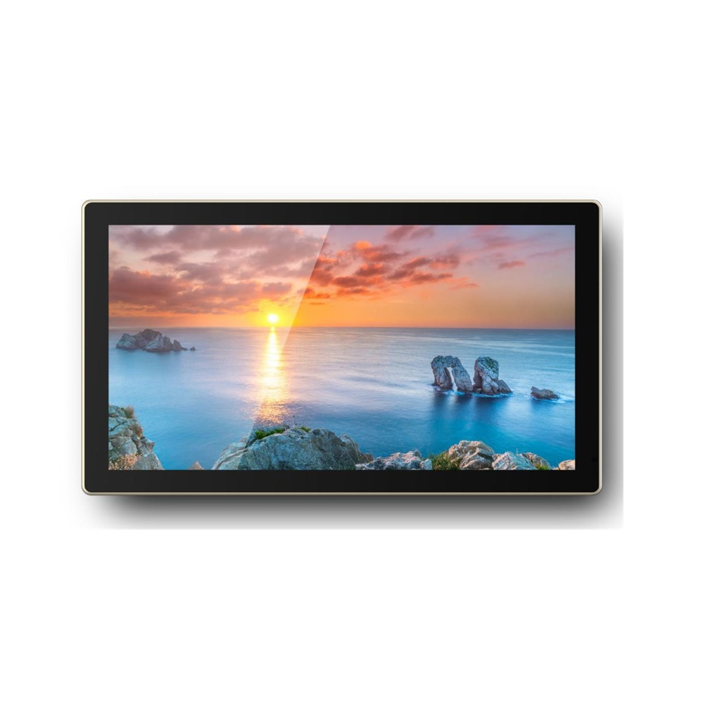 Профессиональная панель Goodview 27" DS display TC27S1