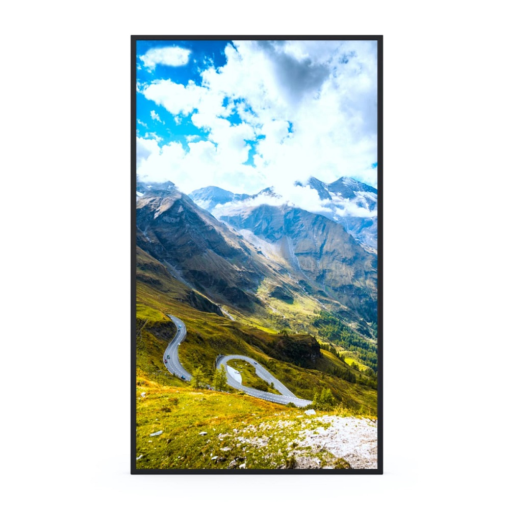 Professional panel Hisense 75WF25E 75"