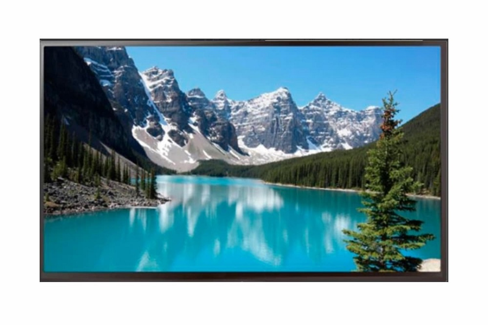 Профессиональная панель EWIN 75" DE75A