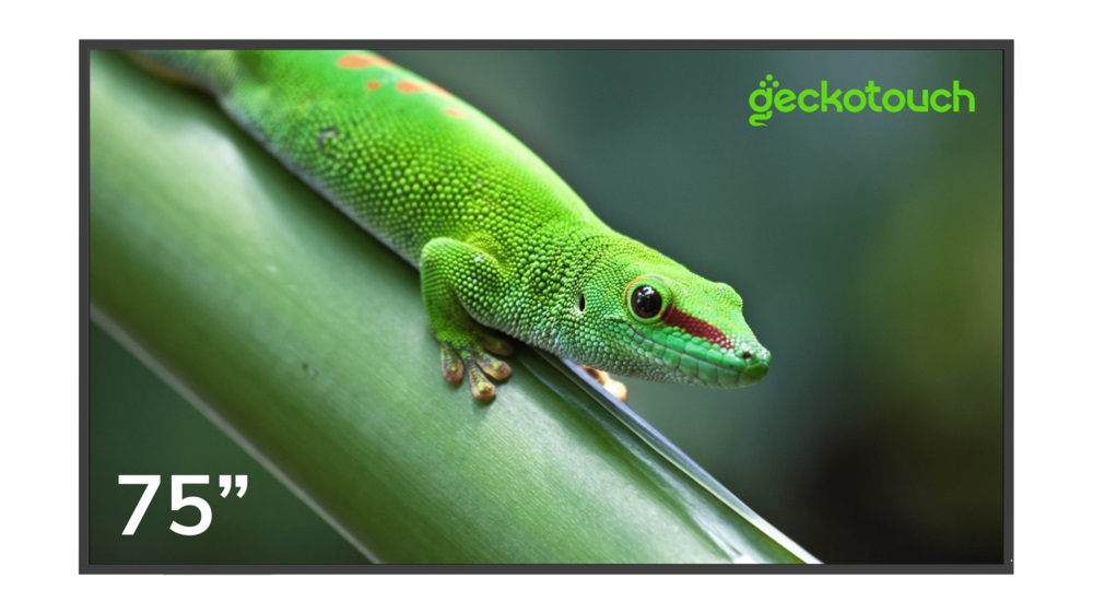 Professional panel Geckotouch 75DF