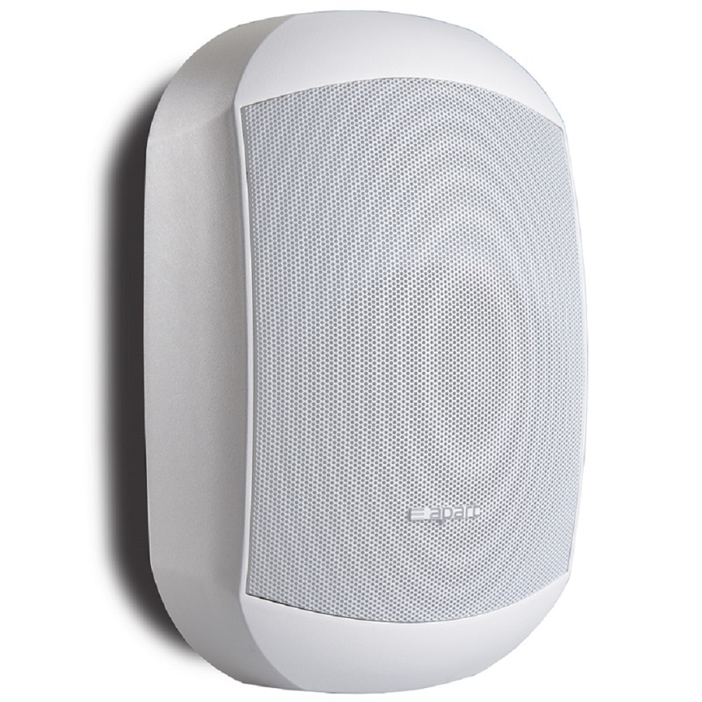 All-weather speaker system BIAMP MASK6CT-W Apart