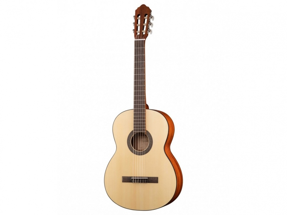 Classical guitar 4/4 with case, Parkwood