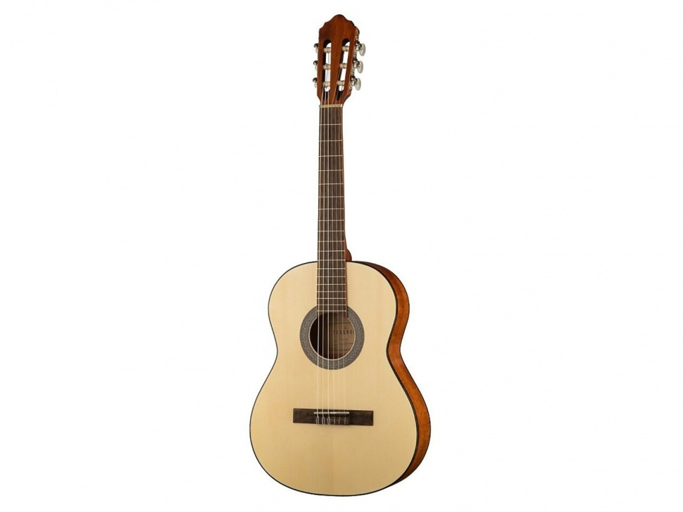 Classical guitar 3/4 with case, Parkwood