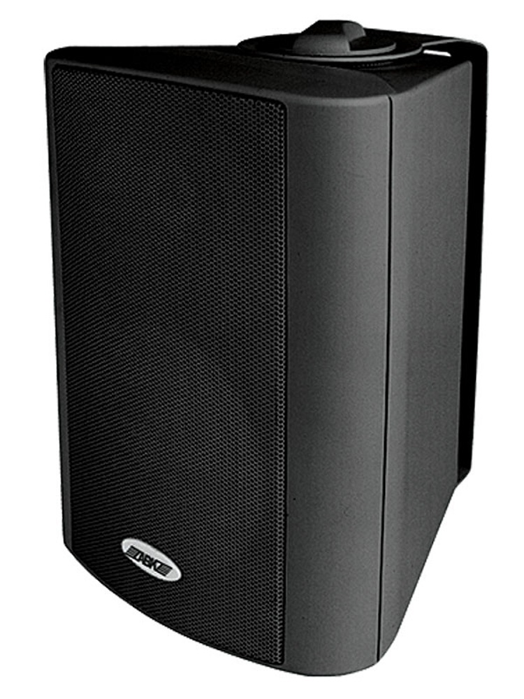 Настенная акустическая система ABK WL-311BA
