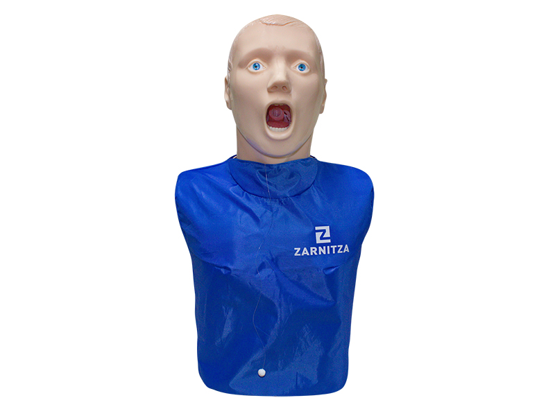 "Alexey" Zarnitza simulator for practicing techniques for restoring airway patency
