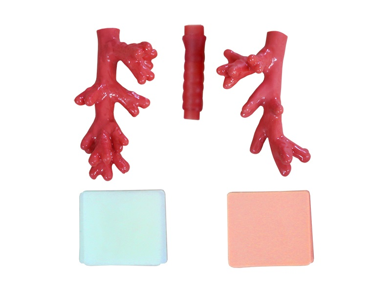 Set of consumables for the simulator for practicing practical intubation skills Zarnitza TPI-1.03
