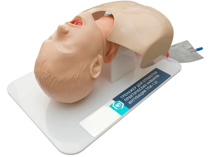 Simulator for practicing practical intubation skills Zarnitza TPI-1.01