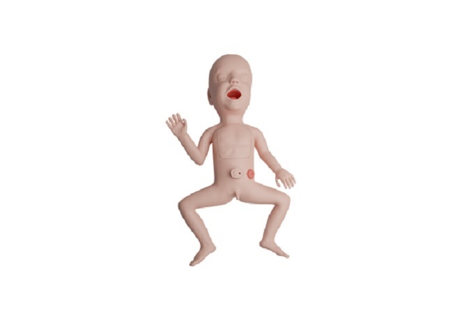 Educational model of a premature baby 25 weeks for mastering cardiopulmonary resuscitation techniques and clinical care ArtesMed