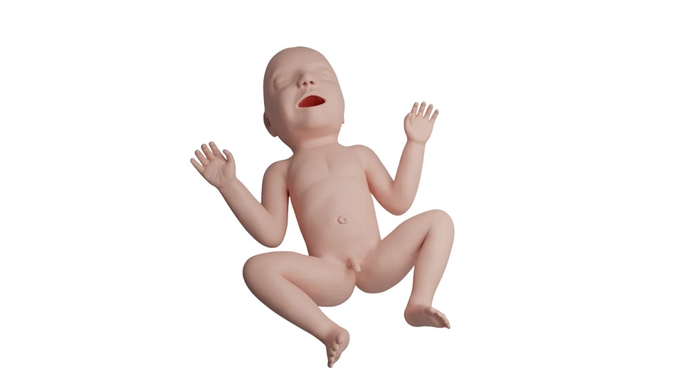 Examination and care of a premature newborn 30 weeks ArtesMed