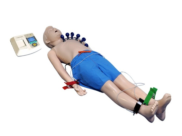 Multifunctional manikin for recording ECG parameters (adolescent) Zarnitza