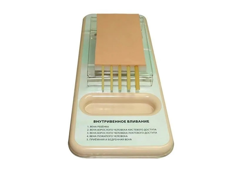 Simulator for practicing intravenous injection skills Zarnitza TVI-1.01