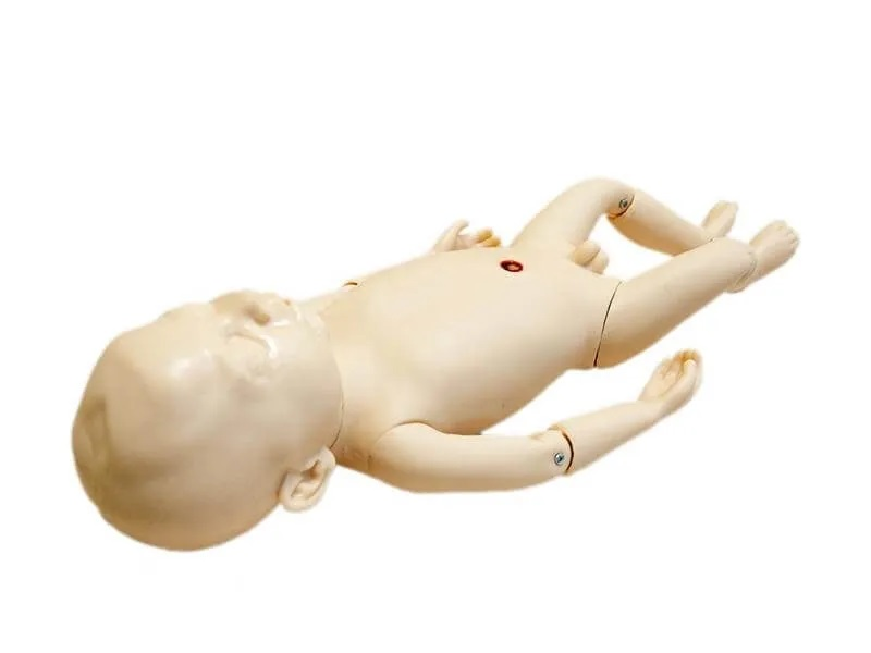 Pediatric newborn care simulator Zarnitza