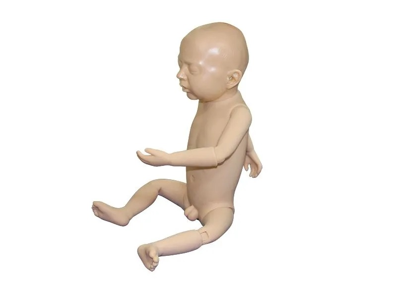 Simulator-mannequin for the technique of performing health massage and gymnastics Zarnitza