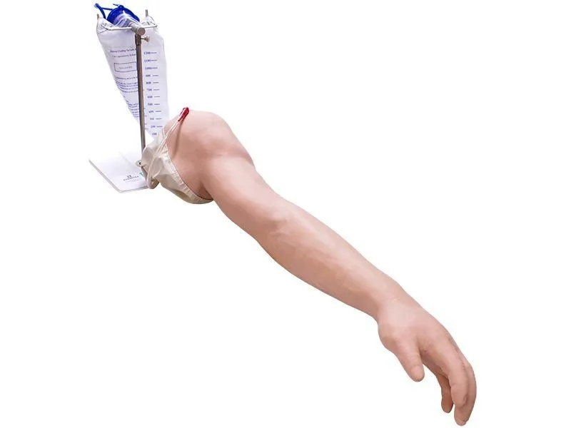 Simulator for practicing the technique of intravenous procedures (phantom with varying degrees of venous accessibility) Zarnitza