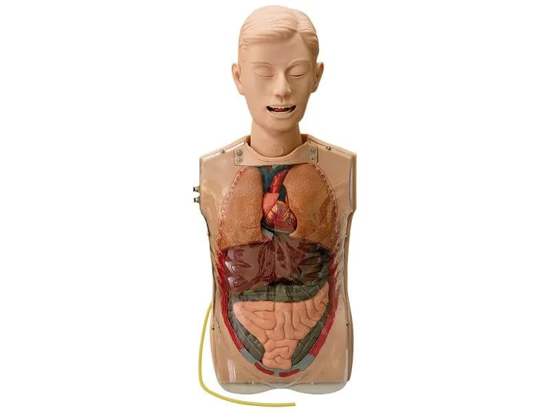Simulator-dummy for practicing gastric lavage skills Zarnitza