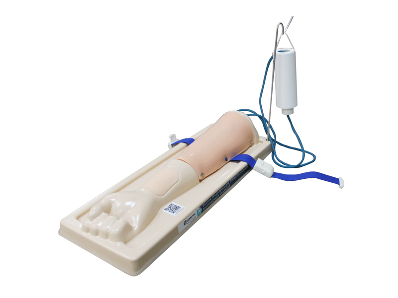 Forearm phantom for practicing intravenous injection skills Zarnitza