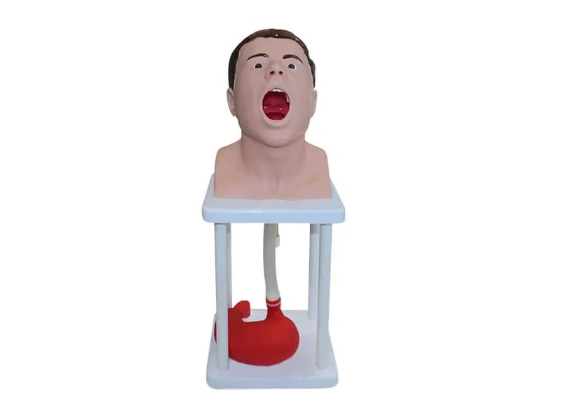 Simulator for probing and lavage of the human stomach Zarnitza