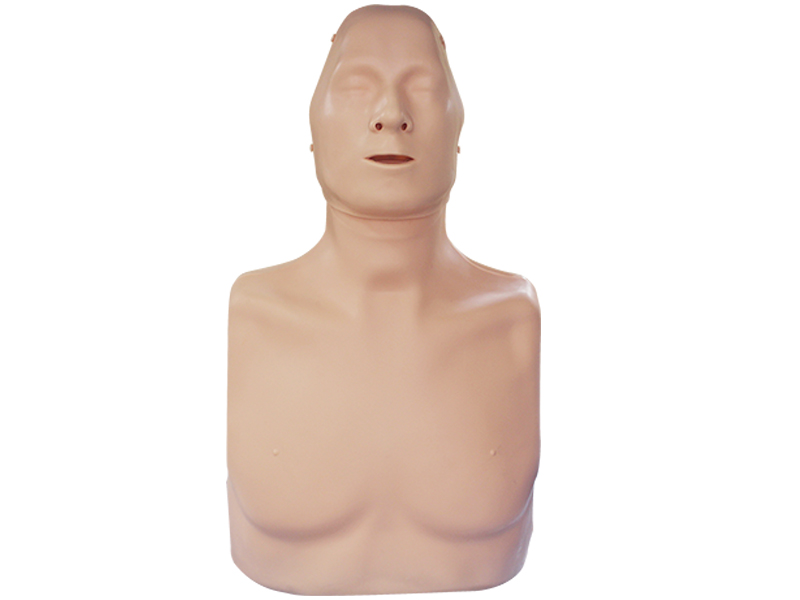 "TORS-01 CPR" simulator-dummy of an adult victim for practicing cardiopulmonary resuscitation techniques (head, torso) Zarnitza