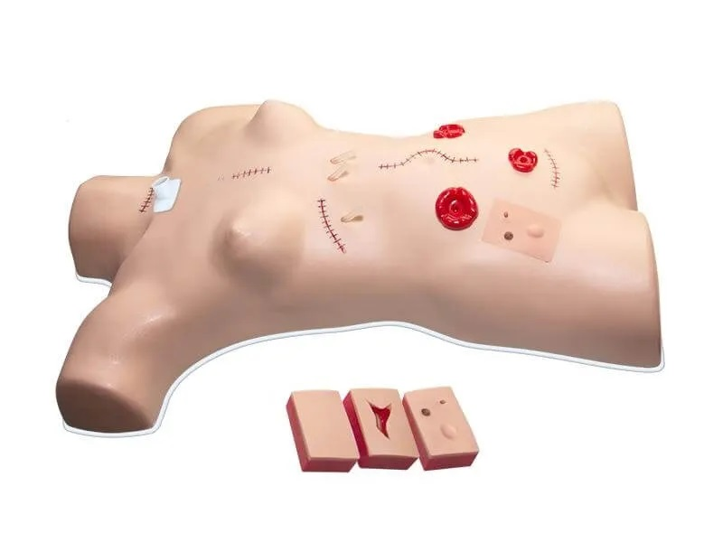Suture and dressing trainer Zarnitza