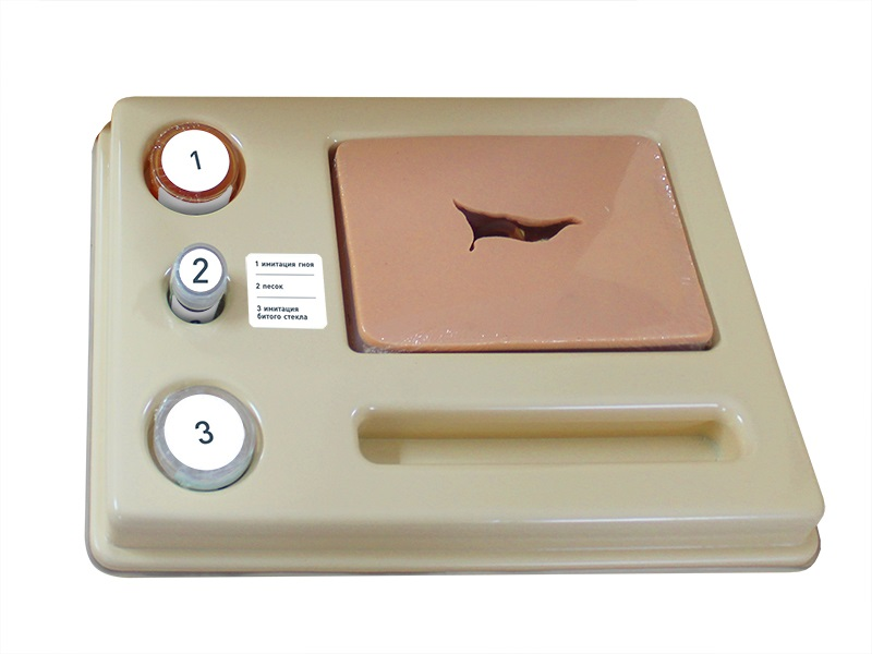 Simulator for practicing basic surgical skills in treating a wound defect Zarnitza TBN-1.06