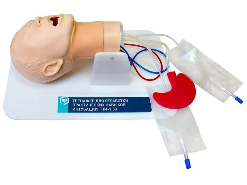 Simulator for practicing practical intubation skills Zarnitza TPI-1.03