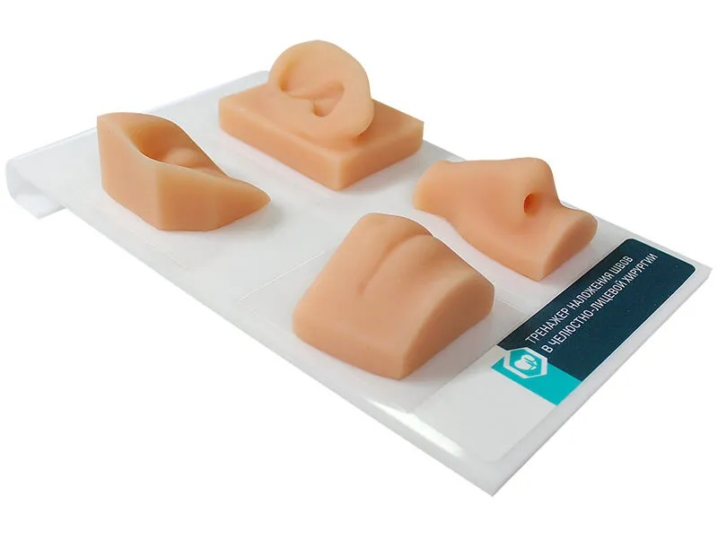 Trainer for suturing skills in maxillofacial surgery Zarnitza