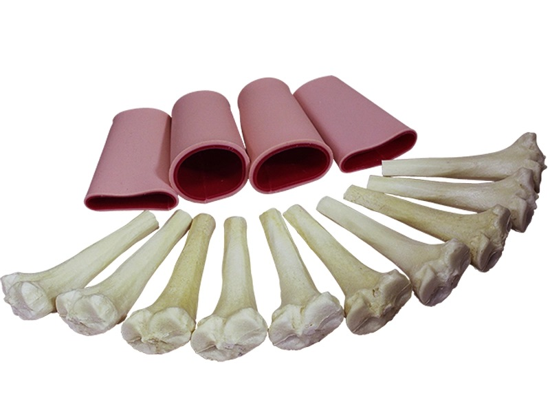 Set of consumables for intraosseous injection simulator Zarnitza MU0014